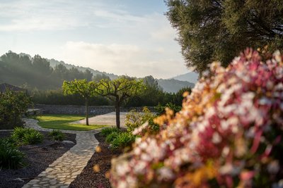 Schon der Weg zur Yoga-Plattform lässt Sie entspannen