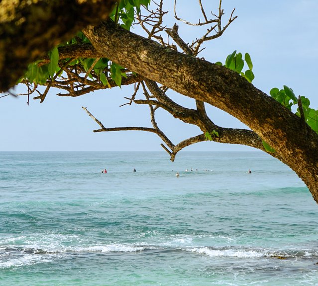 Yoga Surf Urlaub Nachhaltige Surf Retreats Asien & Europa