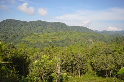 In der Singharaja Garden ECO-Lodge können Sie inmitten von grüner Natur komplett entspannen