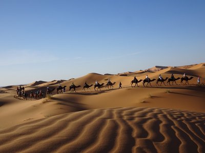 Kamelwanderung durch die Wüste