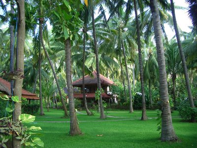 Die gemütlichen Bungalows erstrecken sich über den weitläufigen tropischen Garten