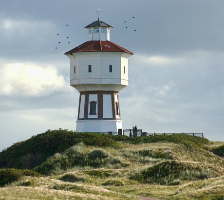 Ein Weg führt über eine Wiese zu einem Leuchtturm