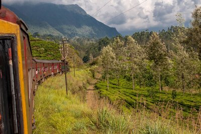Sri Lanka aus dem Zug heraus erkunden