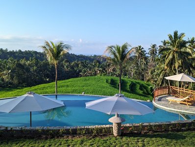 Der Pool - eingebettet in die grüne Landschaft Balis