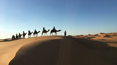 Mit Karmelen durch die Wüste Saharas ziehen