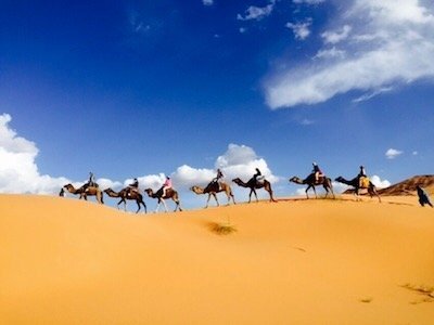 Mit Kamelen durch die Wüste