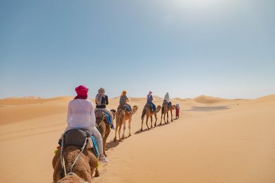 Auf Kamelen durch die Sahara