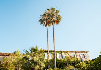 Die Finca - eine Oase zum Wohlfühlen!