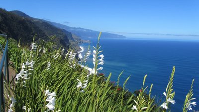 Entdecken Sie die wundervolle Landschaft Madeiras
