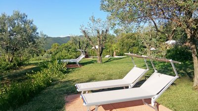 Entspannen im OlivWineGarden