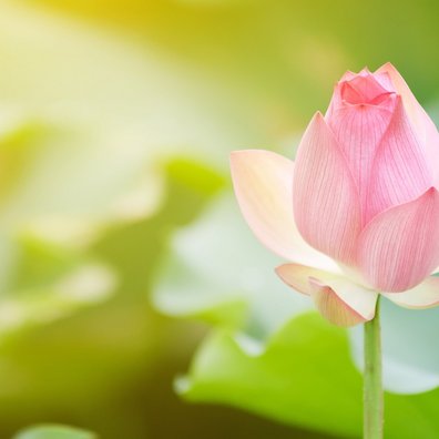 Yogalehrerin Anja Orttmann-Heuser_Headerbild