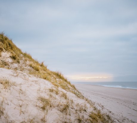 Ein Strand mit feinen Gräsern 