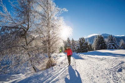Erkunden Sie im Winter die über 120km Langlauf-Loipen in der Umgebung