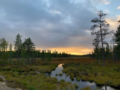 Viel Natur und dünn besiedelte Regionen im nördlichen Schweden