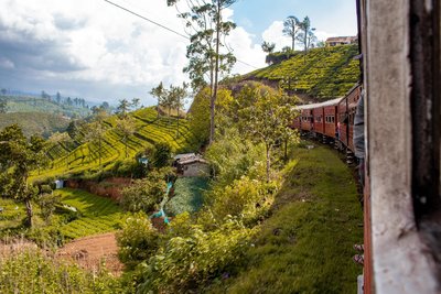 Einer der schönsten Zugfahrten der Welt erleben Sie auf Sri Lanka