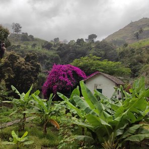 Haus eingebettet in grüner Landschaft der Kapverden