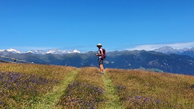 Erleben Sie die Schönheit der Südtiroler Bergwelt 