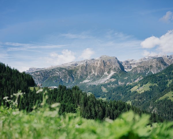 Berge in einer grünen Landschaft