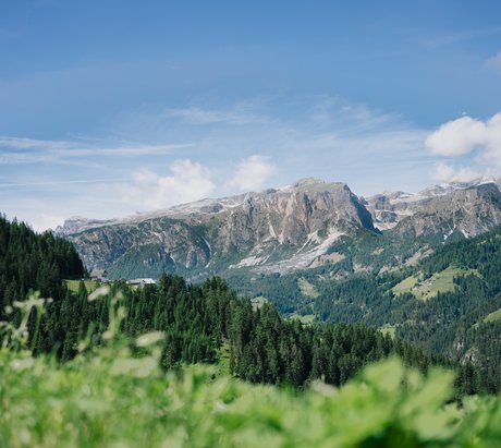 Berge in einer grünen Landschaft