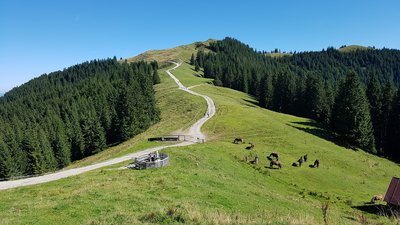 Nach dem morgendlichen Yoga die Bergwelt entdecken