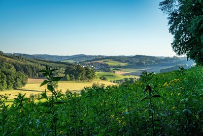 Das Schloss Melschede ist ein Wasserschloss in Hövel, einem Stadtteil von Sundern im Sauerland. 