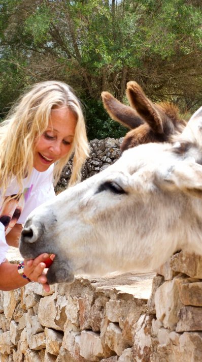 Drei Esel sorgen für pures Wohlfühl-Ambiente