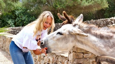 Drei Esel sorgen für pures Wohlfühl-Ambiente