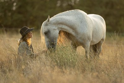 Die Pferde in der Provence erleben