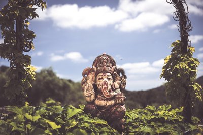 Der kleine Bewohner der Finca Son Mola Vell meditiert auf seinem ruhigen und gemütlichen Platz