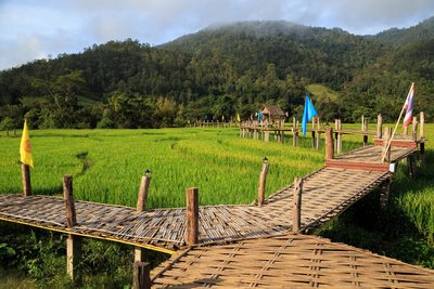 Reisefelder in der Provinz Mae Hong Son