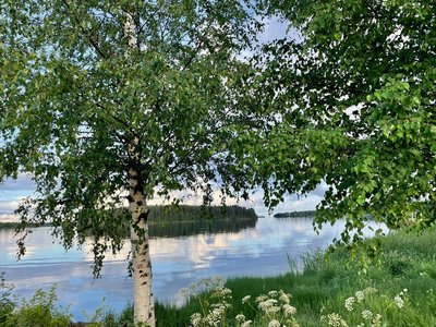 Tanken Sie Kraft in der Natur Schwedens