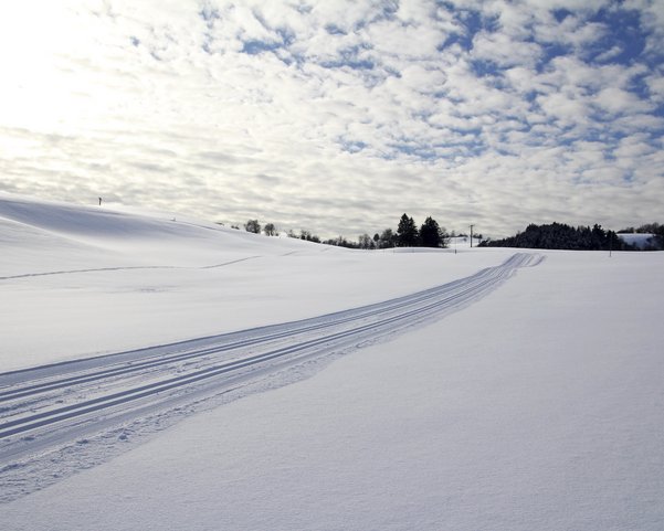 Langlaufloipe in schneebedeckter Landschaft