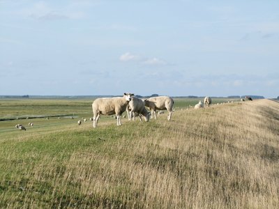 Landschaftliche Idylle soweit das Auge reicht
