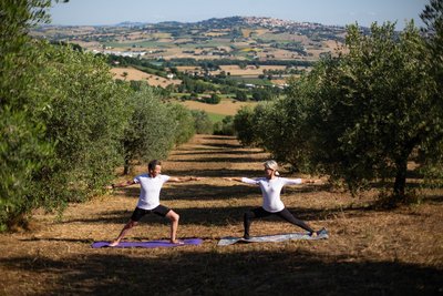 Wie wäre es mit einer Yoga-Einheit mitten in einem Olivenhain? Kein Problem in der Villa Garulli