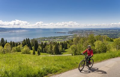 Radtour am Bodensee