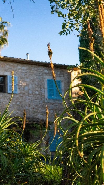 Die wunderschöne Finca im Frühling Die wunderschöne Finca im Frühling