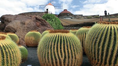 Jardín de Cactus - Kakteengarten auf Lanzarote
