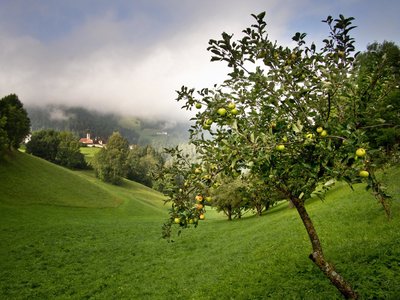 Genießen Sie die Natur in Südtirol in Italien 