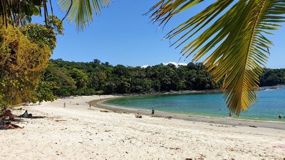 Im Schatten der Palmen am Strand entspannen