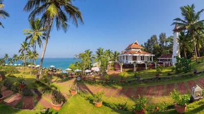 Palmenmeer und Ozean soweit das Auge reicht. Palmenmeer und Ozean soweit das Auge reicht.