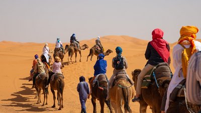 Kameltrekking durch die Dünen