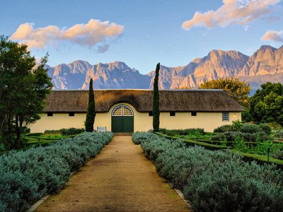 Zu Besuch auf einem der vielen Weingüter in Südafrika